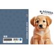 3592930027747-Agenda RDC reliure brochée année scolaire BOUCHUT "Chien" 1 jour /page 12 x 17 cm PEFC 7-P_405227442_2-1