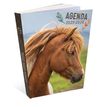 Agenda RDC reliure brochée année scolaire BOUCHUT "Cheval" 1 jour /page 12 x 17 cm PEFC 70 %