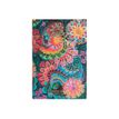 9781408754153-Agenda 2024-2025 - semainier - 9,5 x 14 cm - 160 pages - clair de lune - multicolore - Pap-P_405227569_1-0