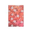 9781408754214-Agenda 2024-2025 - semainier - 12,5 x 18 cm - 160 pages - sakura - rose - Paperblanks-P_405227603_1-0