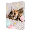 3664447220796-Agenda Chaton tendre - 1 jour par page - 12,5 x 17,5 cm - Oberthur--0