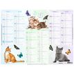 3664447218625-Calendrier Chaton - 6 mois par face - 55 x 43 cm - Oberthur--1