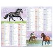 3664447218632-Calendrier Cheval - 6 mois par face - 21 x 26,5 cm - Oberthur--1