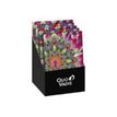 3371010525447-Quo Vadis - Pres chemise carton mini c.estrada p25 - Catalina Estrada - 16,7x13,3x6,5 cm-P_405228186_2-0