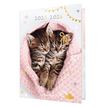 3664447220796-Agenda Chaton tendre duo - 1 jour par page - 12,5 x 17,5 cm - Oberthur-P_405228357_1-0