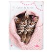 3664447197722-Cahier de texte Chaton tendre duo - 15 x 21 cm - Oberthur-P_405228358_1-0