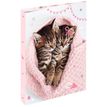 3664447197739-Classeur A4 dos 40 chaton tendre duo - 25 x 32 cm - Oberthur-P_405228359_1-0