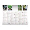 3664447218700-Calendrier Color Story - 6 mois par face - 32 x 42 cm - Oberthur-P_405228556_1-2