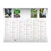 3664447218717-Calendrier Color Story - 6 mois par face - 55 x 40,5 cm - Oberthur-P_405228557_1-2