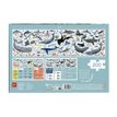 8410782196969-APLI kids - Endangered animals Ocean - puzzle - 200 pièces-P_405230061_3-0