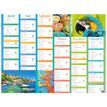 3664447227597-Calendrier Color Story - 6 mois par face - 210 x 265 mm - Oberthur--1