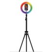 3700527305738-Mobility Lab - Anneau lumineux RGB selfie avec trepied - 10" - noir--0