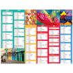 3664447193601-Oberthur - Calendrier Color story - 6 mois par page - 430 x 335 mm - daté--0