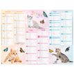 3664447193403-Oberthur C- Calendrier Chatons - 6 mois par page - 430 x 335 mm - daté--0