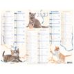 3664447227061-Oberthur C- Calendrier Chatons - 6 mois par page - 420 x 320 mm - daté--1