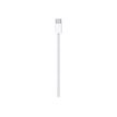 0194253494850-Apple - Câble USB - USB-C (M) vers USB-C (M) - 1 m - blanc-P_405232654_1-0