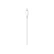 0190198496201-Apple - Câble USB-C mâle vers Lightning mâle - 2 m - blanc-P_405232656_2-0