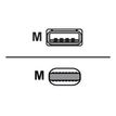 3700527312507-Mobility Lab - Câble USB-A vers lightning - 2m - blanc-P_405232664_1-5