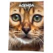 3760139890176-Agenda scolaire chaton - 1 jour par page - 12x17 cm - Les Editions du Belon--0