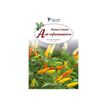 9791029804175-Plantes créoles anti-inflammatoires - par Longuefosse Jean-Louis - livre-P_405239754_1-0