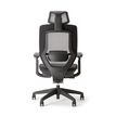 3760388581290-Fauteuil de bureau ALEA - accoudoirs - appuie-tête - noir--4