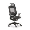 3760388581290-Fauteuil de bureau ALEA - accoudoirs - appuie-tête - noir--5