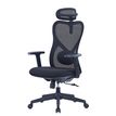 3760388581252-Fauteuil de bureau SUN - accoudoirs - appuie-tête - noir--1
