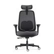 3700339995837-Fauteuil de bureau NELSON - accoudoirs réglables - appuie-tête réglable - noir-P_405243537_6-0