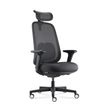 3700339995837-Fauteuil de bureau NELSON - accoudoirs réglables - appuie-tête réglable - noir-P_405243537_7-1
