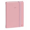 3371010532605-Quo Vadis - Agenda - Daily 21 Color - Journalier - Multilingue - Pastel - Rose clair - 12 mois de janvier à décembre - 15x21 cm - Papier Clairefontaine blanc - Fabri--0