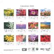 3371010517695-CALENDRIER FEUILLES FR - Fleurs - 30x30 cm - Quo Vadis--1