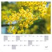3371010517695-CALENDRIER FEUILLES FR - Fleurs - 30x30 cm - Quo Vadis--2