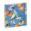3660942088756-Agenda de bureau Sophie Adde Lady 18S spiralé - 1 semaine sur 2 pages - 15 x 17 cm - Oranges - Exacomp--0