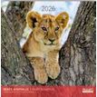 3494150173764-Calendriers 30x30cm 16 mois Aquarupella - Bébés animaux--0