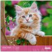 3494150173795-Calendriers 30x30cm 16 mois Aquarupella - Chatons--0