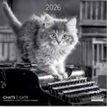 3494150173818-Calendriers 30x30cm 16 mois Aquarupella - Chats N&B--0