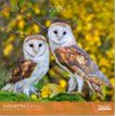 3494150173849-Calendriers 30x30cm 16 mois Aquarupella - Chouettes--0