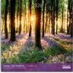 3494150173870-Calendriers 30x30cm 16 mois Aquarupella - Dans les forêts--0