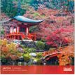 3494150174006-Calendriers 30x30cm 16 mois Aquarupella - Japon--0