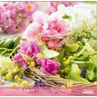 3494150174105-Calendriers 30x30cm 16 mois Aquarupella - Parfums de fleurs--0