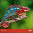 3494150174198-Calendriers 30x30cm 16 mois Aquarupella - Reptiles--0