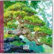 3494150174365-Calendrier 16x16cm 16 mois Aquarupella - Bonsai--0