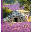 3494150174600-Calendrier 16x16cm 16 mois Aquarupella -Provence--0