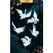3494150175089-Agenda 13x21cm 12 mois Aquarupella - Grues --0