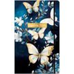 3494150175119-Agenda 13x21cm 12 mois Aquarupella -Papillons --0