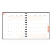 3660942088411-Agenda de bureau Dodo & Cath Lady 18S spiralé - 1 semaine sur 2 pages - 15 x 17 cm - Dé-P_405244349_5-21