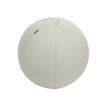 4002432134748-Leitz Ergo - Ballon d'assise ergonomique - Diamètre 55cm - Gris clair-P_405245723_15-0