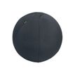 4002432134755-Leitz Ergo - Ballon d'assise ergonomique - Diamètre 55cm - Gris foncé-P_405245724_13-0