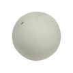 4002432134786-Leitz Ergo - Ballon d'assise ergonomique - Diamètre 75cm - Gris clair-P_405245727_17-0