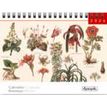 3494150174884-Calendrier chevalet 16x18cm 12 mois Aquarupella -Botanique--0